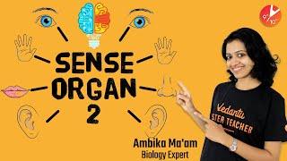 Sense Organs L2 | Learn About Five Senses | Class 10 ICSE Biology (2020) @Vedantu Class 9 & 10