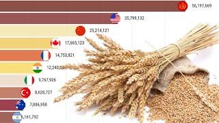 Top 10 Wheat-Producing Countries in the World (1960-2019)