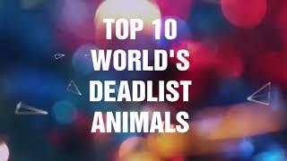 #Top10 Top 10 world s deadliest animals