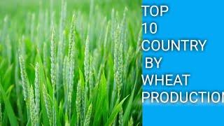 TOP 10 COUNTRY BY WHEAT PRODUCTION