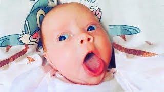 Try Not To Laugh - 10 Minutes Funny with Baby Faces