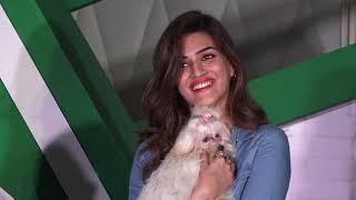 LAUNCH OF MARS PETCARE NEW BRAND IAMS IN INDIA WITH KRITI SANON 02