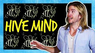 The Hive Mind in the Real World | Because Science