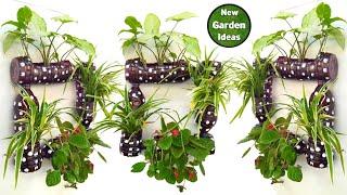 plastic bottle garden ideas//diy garden ideas//plant pots//indoor plant pots