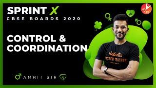 Control and Coordination Class 10 Sprint X 2020 | CBSE Biology | Science Chapter 7 | NCERT Vedantu