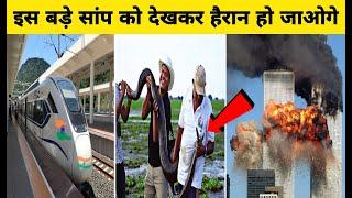 इस बड़े सांप को देखकर हैरान हो जाओगे | Top 10 Amazing Facts | #shorts