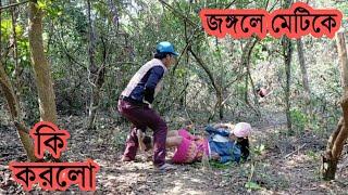 জঙ্গলে কি করলো মেয়েটিকে || Jungle ki korche meyeti ke | new Bangla short movie অনুবাদ Setting media