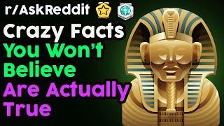 What Unbelievable Facts Sounds Fake, But Is Legit? (r/AskReddit Top Posts | Reddit Stories)