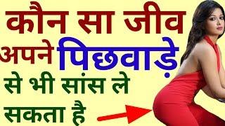 GK in Hindi amazing Top 10 question Gk