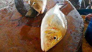 Filleting Spangled Emperor | Fresh Fish Sri Lanka