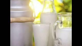 Top 10 Dairy Companies in India 2019