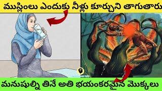 Men Eating Plants In Telugu || Top 10 Unknown Facts In Telugu || SKCB TELUGU