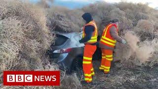 Tumbleweed traps cars on Washington State road - BBC News