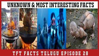 Top 10 Most Interesting & Unknown Facts in telugu | by Think Fact telugu