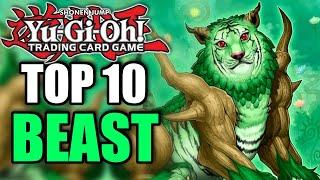 Yu-Gi-Oh! Top 10 Beast Monsters of All-Time!