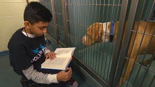 Why This 10-Year-Old Is Called the Dog Whisperer