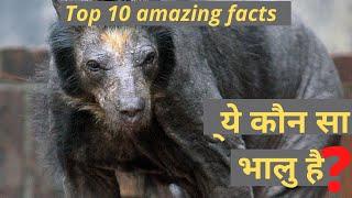 Top 10 Amazing Facts | kon sa aisa country hai jiske pass army nhi hai | Tranding facts