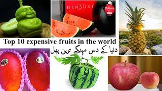 Top 10 most expensive fruits in the world 2020 | دنیا کے دس مہنگے ترین پھل | US RAINBOW