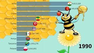 Beehives Stock by Country | Top 10 Beehive Countries | data analysis