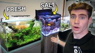 BEST Fresh/Saltwater FISH STORE TOUR!! - (England) 