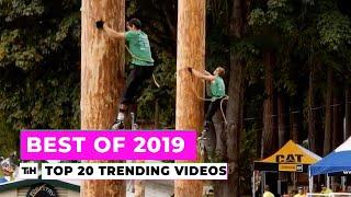 Best of 2019: Top 20 Trending Videos | This is Happening