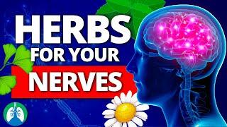 Top 10 Best Herbs for Your Nerves (Nervous System Boost)