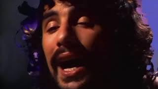 Cat Stevens - Hard Headed Woman (1970)