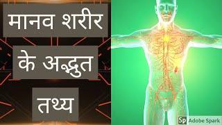 Top 10 Cool facts about human body