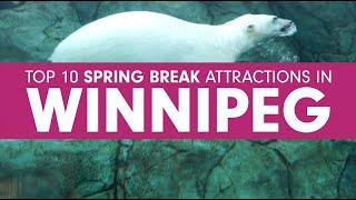 Top 10 spring break attractions in Winnipeg for 2020!