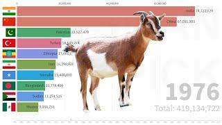 Top 10 Goats Stocks (head) Countries from 1961 | FAO DATA