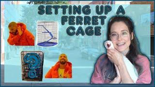 How to Set Up a Ferret Cage