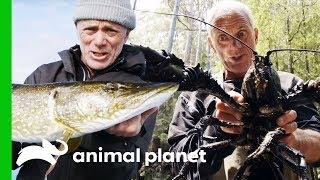 Jeremy's Most Incredible Catches From Season 1 | Jeremy Wade's Dark Waters