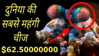 यह है दुनिया की सबसे महगी चीज | TOP 10 FACTS | THINK AGAIN