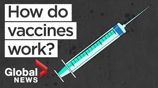 The science of vaccines