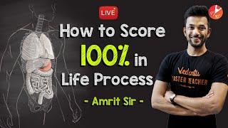 How to Score 100% in Life Processes? CBSE Class 10 Science (Biology) Chapter 6 | NCERT | Vedantu