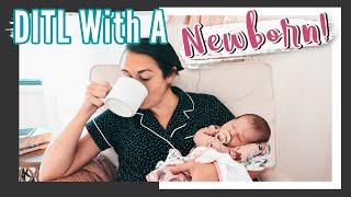 DAY IN THE LIFE WITH MY NEWBORN BABY | THRIFT AND SHOP WITH ME | MENNONITE MOM