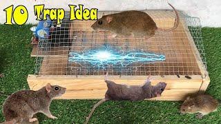 Top 10 Idea Mouse Trap | Best Electric Mouse/Rat Trap | The best video I've ever seen