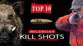 AMAZING Wildboar Kill Shots YOUTUBE TOP 10