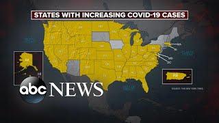 Florida hits 10K new COVID-19 cases for 6th consecutive day l ABC News