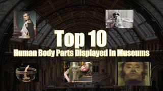 Top 10 Human Body Parts Displayed In Museums