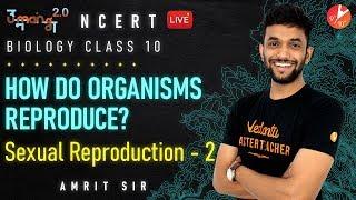 How do Organisms Reproduce? L3 | Sexual Reproduction L2 | CBSE Class 10 Science Chapter 8 | Vedantu