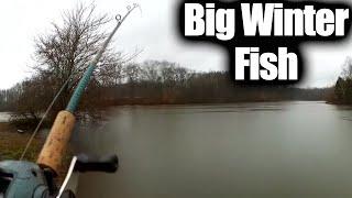 Catching Live Bait then Catching Big Fish from the Bank!