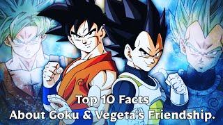 Top 10 Facts About Goku & Vegeta's Friendship || In Hindi ||