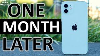 iPhone 12 (Biggest Problems & Best Features After Daily Use for One Month)