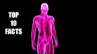 Top 10 facts about human body |