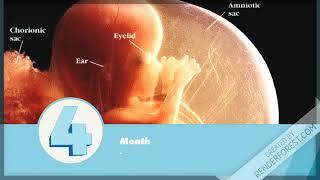 Top 10 Experience By Every Mother