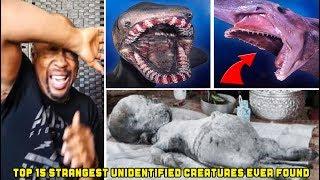 Top 15 STRANGEST Unidentified Creatures Ever Found (Old School BHD)