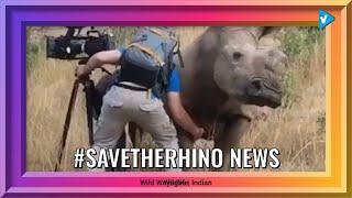 Top 10 #savetherhino Posts & Updates, Starring: wildwoyages