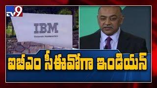 Arvind Krishna to lead IBM, joins club of global Indian CEOs - TV9