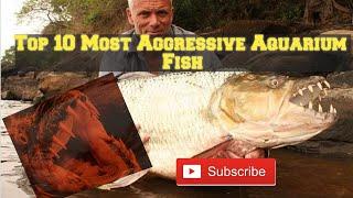 Top 10 Aggressive Fish Fresh water MONSTERS